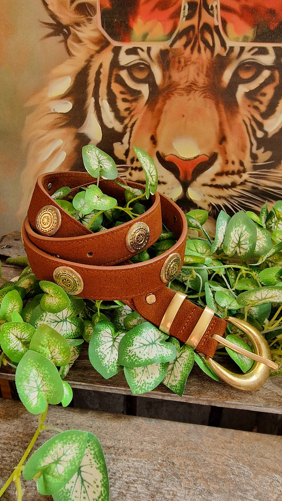 Ceinture camel